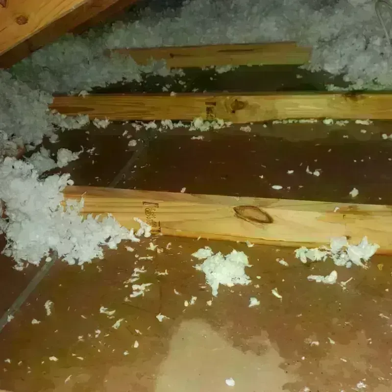 Attic Water Damage in Monticello, LA