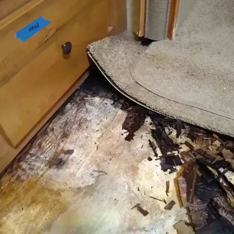 Best Wood Floor Water Damage Service in Monticello, LA